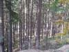 IMG-20221017-WA0000