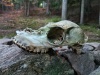 IMG_20221020_170119