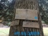 IMG_20221022_090300
