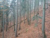IMG_20221022_104124