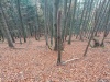 IMG_20221022_104744