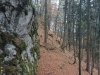 IMG_20221022_115222