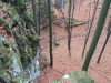 IMG_20221022_132329