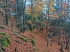 IMG_20221022_135233